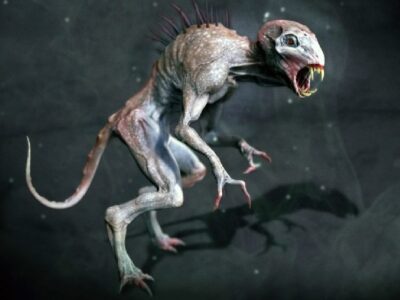 esrpic 608d64c513fba1