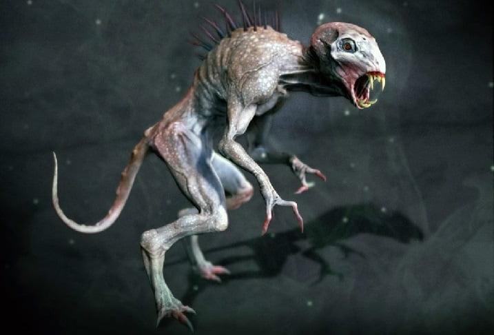 esrpic 608d64c513fba1