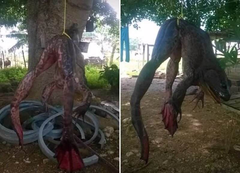 esrpic 6093fa355e9561