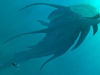 esrpic 60c0c34414d6c1