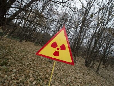 В Подмосковье обнаружили радиоактивный лес 20 esrpic 61248f28ca3411