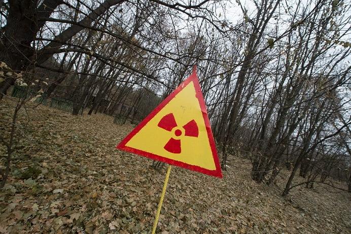 В Подмосковье обнаружили радиоактивный лес 18 esrpic 61248f28ca3411