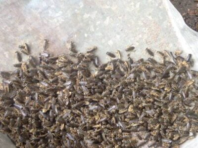 esrpic 6131ac1c7a5b21