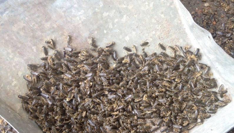 esrpic 6131ac1c7a5b21