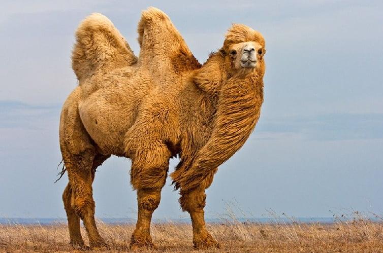 esrpic 623ea5c975d421