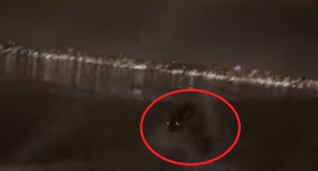 Крупное черное существо с горящими глазами преследовало лодку рыбака 18 69139434