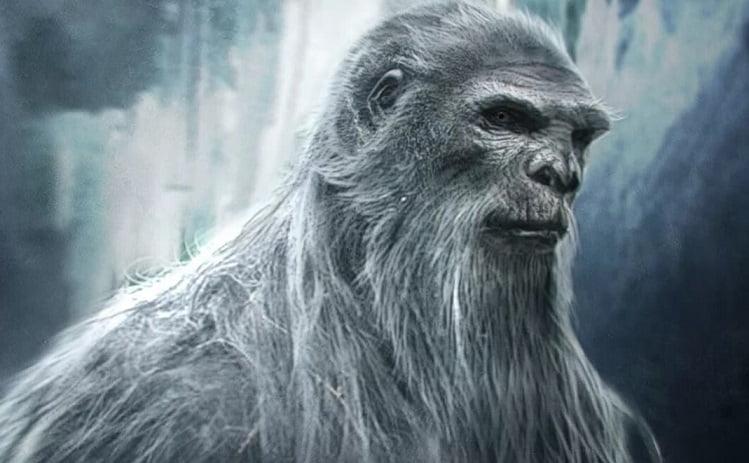 esrpic 61f22339993141