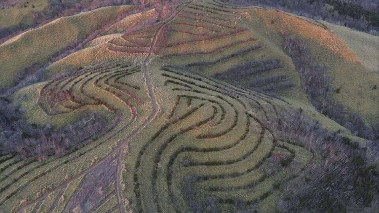 esrpic 627b7841ccef01