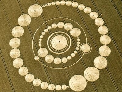 Не все круги на полях созданы человеком, считают исследователи 20 esrpic 618cb76b711021