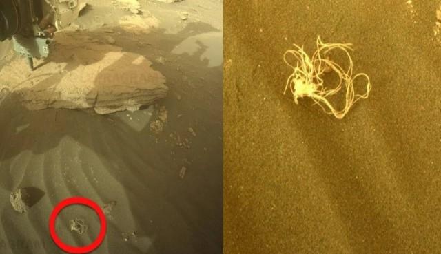 Нитки? Провода? Корни? Очередная странная находка на Марсе 18 18565880