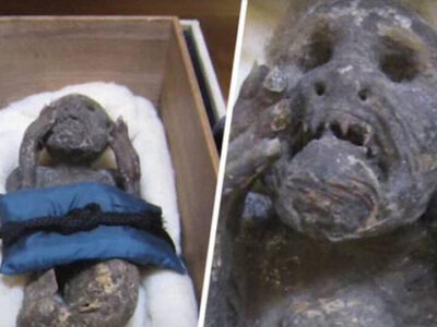 esrpic 62223f35c76551.jpeg