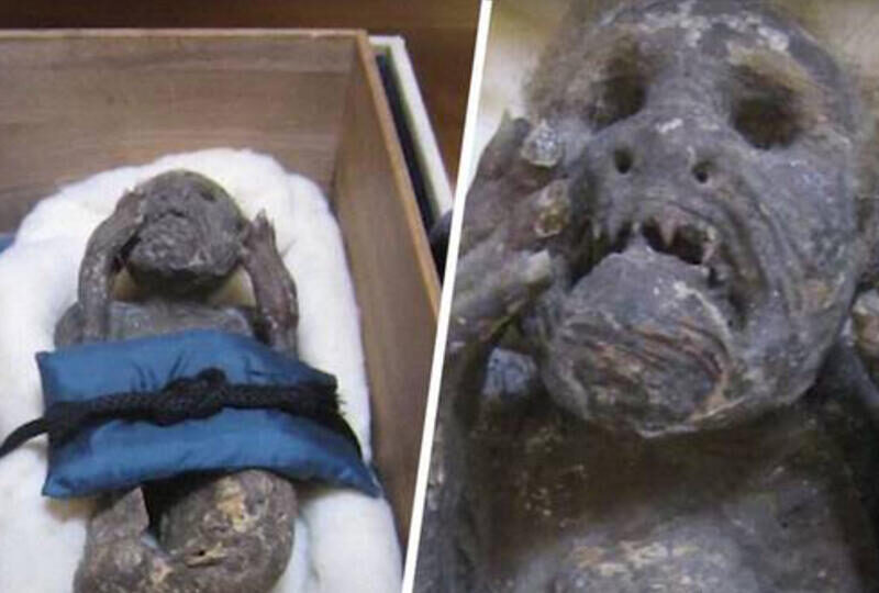 esrpic 62223f35c76551.jpeg