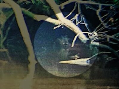 esrpic 6232cd6b76eae1