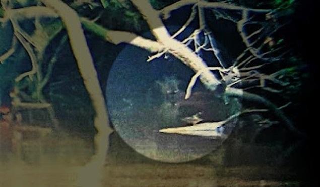 esrpic 6232cd6b76eae1