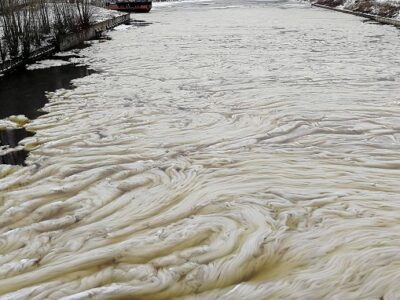 Редкое природное явление заметили на реке в Петербурге 26 esrpic 62452c9ace0e61