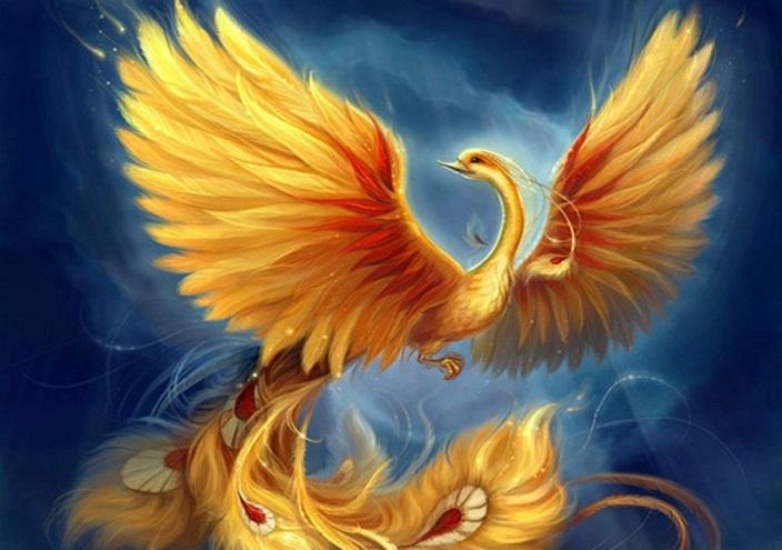 esrpic 6246ce0c69e461