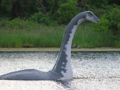 esrpic 6269432828cd91