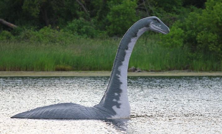 esrpic 6269432828cd91