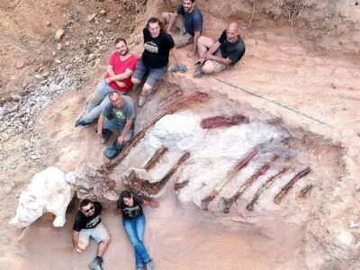 esrpic 630ca595d67be1