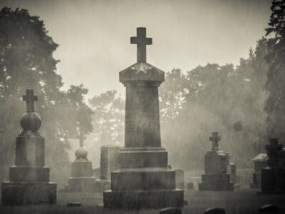 Таинственная смерть и воскрешение Марджори Маккол 25 50455226