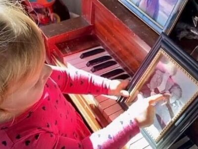 esrpic 6221eafc6e1fc1