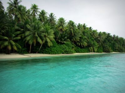 esrpic 6291fcd6011b81