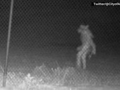 esrpic 62a577d8b63971