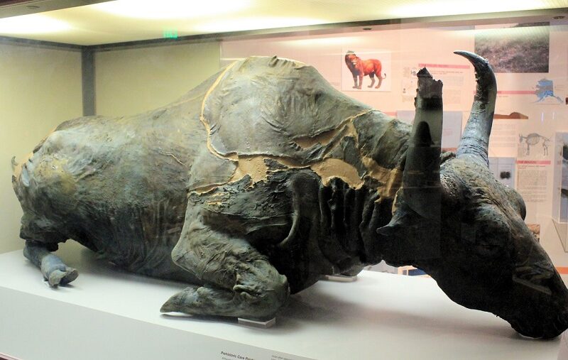 esrpic 634a45dd6822e1