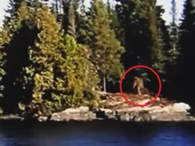 Шагающего по берегу йети сняли на видео в Канаде 22 81445282