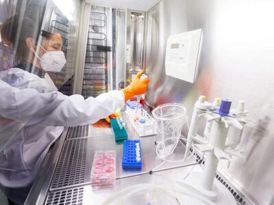 Ученые предупредили о быстрой мутации оспы обезьян 23 17572511