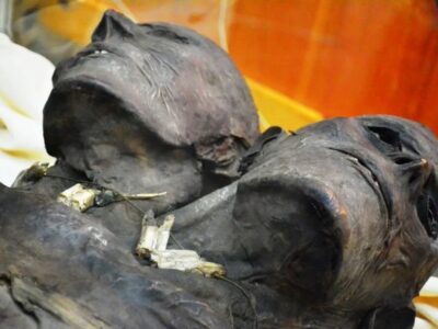 Кап Два - загадочная мумия двухголового гиганта из Патагонии 23 11078801