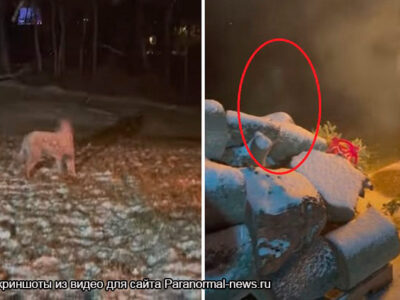На видео попал момент с призраком, который забежал в костер 24 95250013