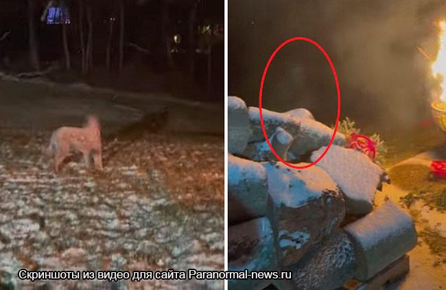 На видео попал момент с призраком, который забежал в костер 18 95250013