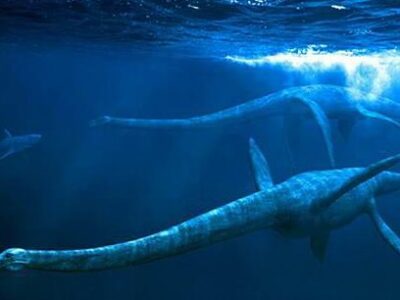 Несси из якутского озера Лабынкыр 28 pic 04 01 2016 2201441