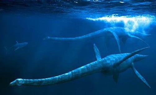 pic 04 01 2016 2201441