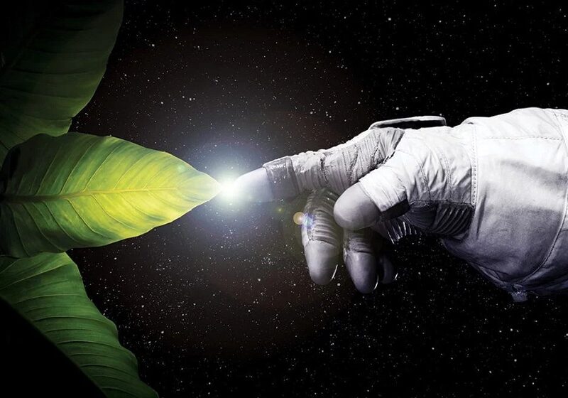 esrpic 649a793bd9a401