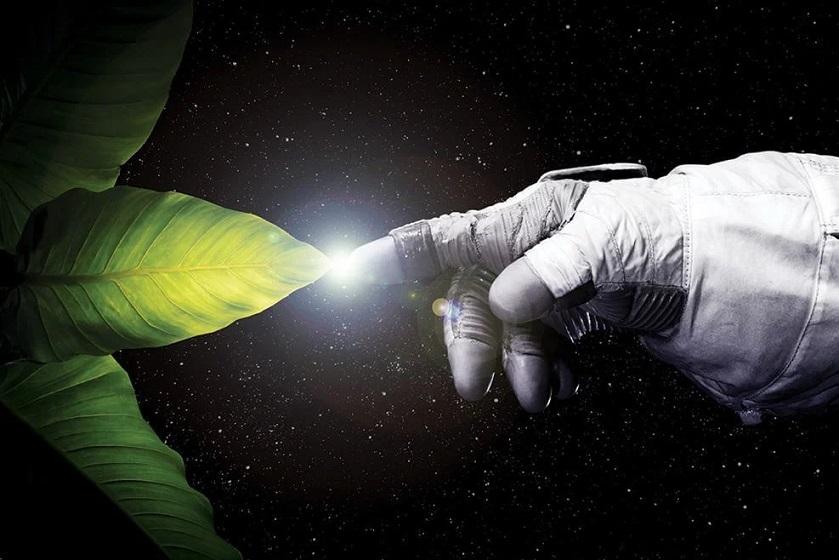 esrpic 649a793bd9a401