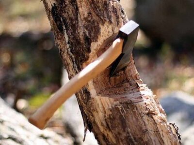 pic 06 03 2017 0042001