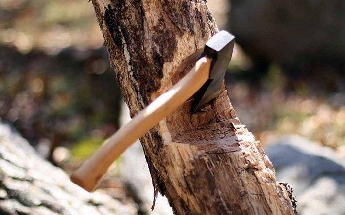 pic 06 03 2017 0042001