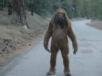 Почему люди верят в снежного человека? Самое простое объяснение 24 44128539