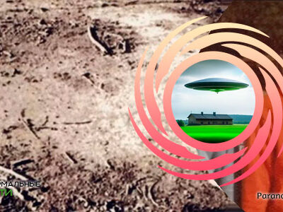 🍄 НЛО-гриб оставил на земле белое кольцо из бактерий 32 85828623 5