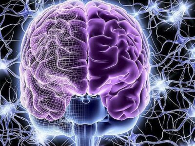 pic 17 04 2016 1047251