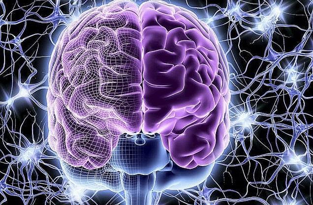 pic 17 04 2016 1047251