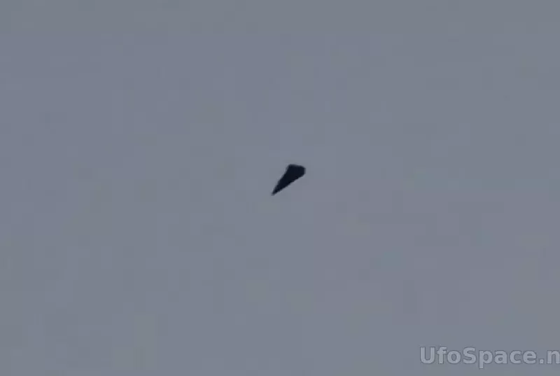 s53682759