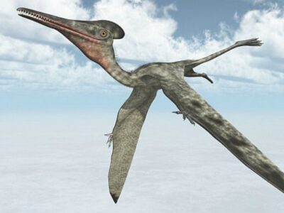 pic 31 03 2018 0541161