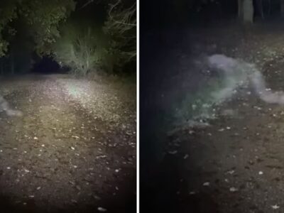 Ползающего гуманоидного призрака запечатлели в загородном парке в Англии 22 esrpic 63a28829b041b1