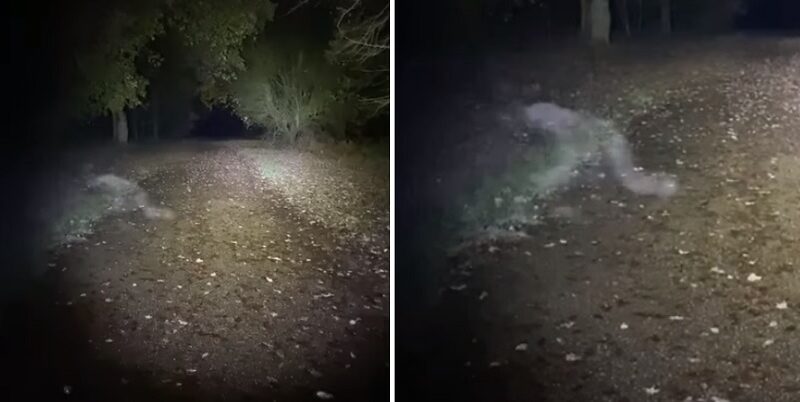 esrpic 63a28829b041b1