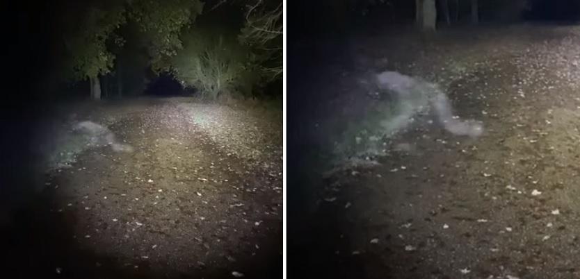 Ползающего гуманоидного призрака запечатлели в загородном парке в Англии 18 esrpic 63a28829b041b1