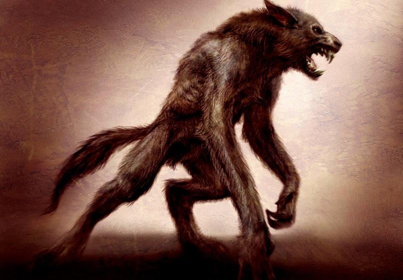 Женщина рассказала о встрече со странным существом с головой собаки 18 esrpic 649a70f7673571