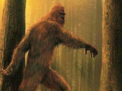 «Снежный человек» наблюдал за семьей в Канаде: правда или мистификация? 21 esrpic 64a64a82b01651